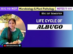 Albugo || Life Cycle of Albugo || Bsc Botany || #sciencewaali