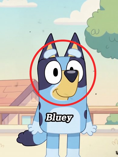 Bluey is a Boy or a Girl? #bluey #cartoon #funnymoments #explanation