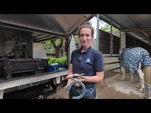 Watch Harriet Bishop expertly shoeing with Mustad EquiLibrium Air and Mustad Concave nails."