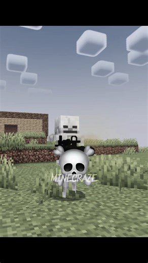 Skeleton on Java Vs Bedrock in Minecraft ☠️💀 #minecraft #minecraftshorts #trending