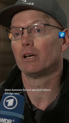 Die Kartoffelernte ist dieses Jahr so ertragreich wie seit 25 Jahren nicht mehr. #nachrichten