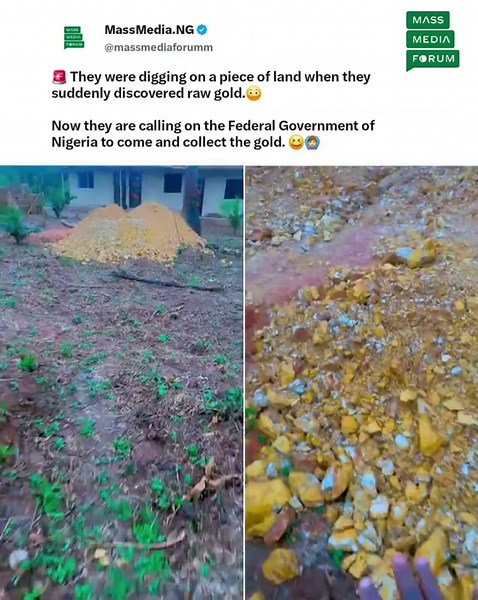🚨 They were digging on a piece of land when they suddenly discovered raw gold.😳 Now they are calling on the Federal Government of Nigeria to come and collect the gold. 😆🙆‍♂️ Imagine this happened in the North.🌚 #MassMediaNG #tiktoknaija #burnaboy #davido #davido