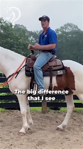 Why I Prefer A Loose Rein When Training Horses