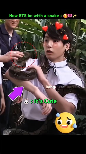 BTS Playing With a Snake While Jin and J-Hope Run for Their Lives