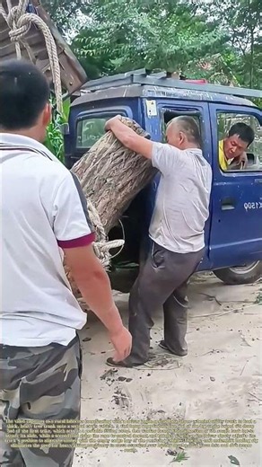 Ramp Log Lifting: Farmers Use Tilt Truck Bed to Load Heavy Timber