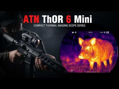 What the Thor 6 Mini Sees at Night | Thermal Hunting Footage