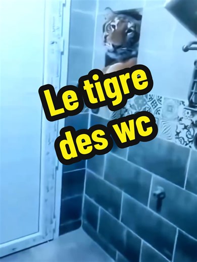 #CapCut le tigre des toilettes 🤣🤣👽😝😝