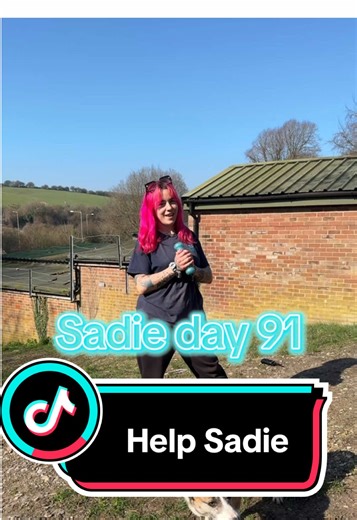 Day 91 of posting until Sadie gets adopted!! As we approach day 100 of posting we really hope that Sadie finds a home soon. Please keep sharing our amazing girl 💙💙 #rescue #adopt #collie #adoptme #adoptmepets #rescuedog #rescuedoglove #rescuedogsoftiktok #adoptdontshop #colliedog #bordercollie #rescuedogsrock #rescueme #rescuedogs #bordercollies