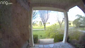 CLOSE CALL! A tree falls and barely misses a man walking by! Christina Musick says they captured this on their Ring doorbell as her husband was coming home for lunch on a windy afternoon. It happened near High Point Elementary School in Bristol, VA on Monday. | David Boyd WCYB