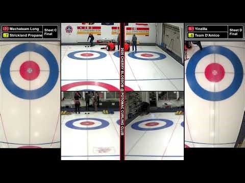 2026 Cherry Blossom - Draw 10 A/D - Go Go Guardzilla! v Kaiju Curlers; Yinzilla v Team D'Amico