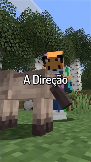 Things to do in Minecraft!