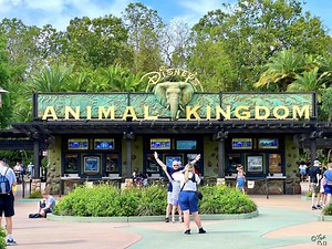 ディズニーワールド｜人気パーク「アニマルキングダム」徹底ガイド＆攻略法！【エリア・アトラクション紹介】｜グルメピエロ