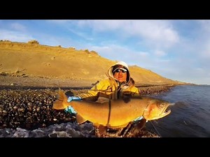 Pyramid Lake 2021-2022 season recap