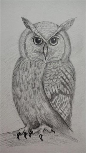 realistic owl drawing pencil sketch ✏️✏️- trendy art ideas 💡