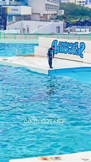 Hello Tik Tok team🙏 don't under review my video#dolphinelover🐬 #viralvideotiktok #unfreezemyacount🙏 #pleasefollowmytiktok🙏🙏😔 ####