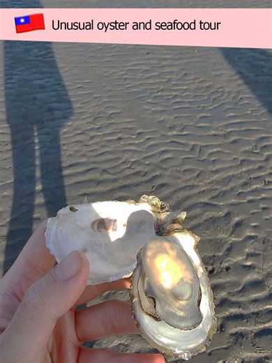 We did not learn about oysters on this oyster tour lol. We don't really recommend the tour provider, but we would vouch for Calvin if you need an English-speaking tour guide and driver in Taichung. ➡️Book the Tour: https://www.taiwantourbus.com.tw/C/tour/en/Changhua-one-day-tour-The-only-tour-CWH01T0001 From NT$2,200 per adult (US$70) NT$1,500 for a translator (NT$50) Prices are subject to change. 🚕 Calvin Lo: (WhatsApp 886 987 305 398) #oystertour #taiwanactivity