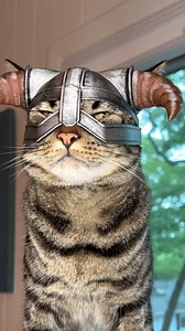 Shh... Not your kitten anymore. 😼 Now he’s Khajiit Dragonborn. 🐱‍👤 3D printed his mask with #3Dprinter Creality Hi Combo 🖨️ Now he’s got wares… if you’ve got coin. ➜ to.store.creality.com/creality_hi 🎥 via @bimbus_printables Watching him like this … I wanna play Skyrim. Again. #creality #crealityhi #3dprinting #multicolor3dprinting #skyrim #cat #cosplay | Creality