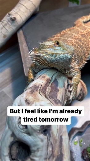 This is how she looks like she feels lately