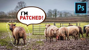 2.2K views · 117 reactions | EVERYTHING You Need to Know About the Patch Tool in Photoshop! A complete guide, right from "What is the Patch Tool?" to some really cool and advanced techniques that you wouldn't know if you didn't know. | PiXimperfect | Facebook