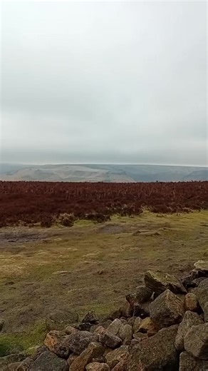 Alan Bishop on Reels