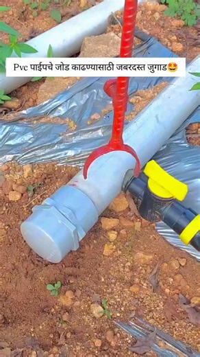 नाद एकच शेती on Instagram: "Like & follow 朗 #jugad #agriculture #animals #trending #farmer #farmlife #shetivadi‍✌️ #trending #shetkari_pattern✌️"