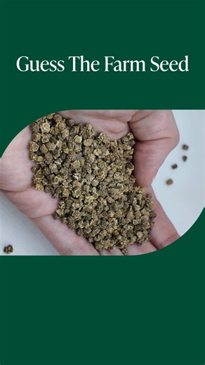 This week, we’re continuing our Guess the Seed series with a familiar farm favorite. At first glance, this seed looks a little bumpy and unusual, but what appears to be a single seed is actually a cluster, with the potential to grow multiple plants. The answer? Red Beet. 🫜 A hearty root vegetable containing complex carbohydrates, phytoactive compounds, and essential vitamins and minerals. #StandardProcess #OnlyAtSP #SPFarmFriday #Beets | Standard Process Inc.
