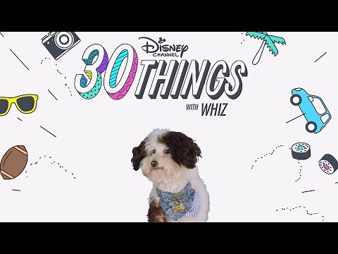 30 Things with Whiz! | Pup Academy | Disney Channel