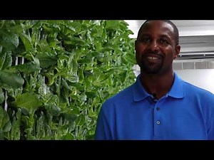 Inside Indiana's first hydroponic shipping container farm