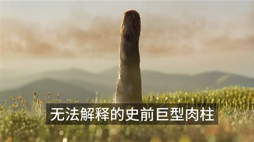 【UMA播客】原杉藻：失落的陆地巨型生物支系