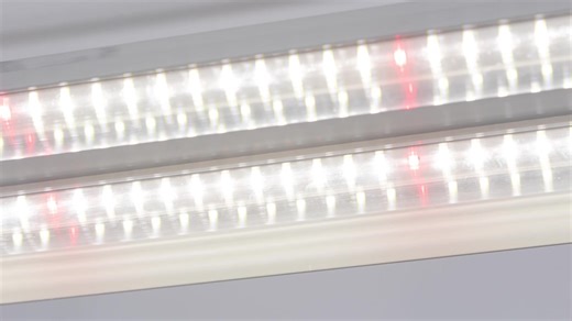 Rhizo-Tech Propagation Lights for Optimal Growth