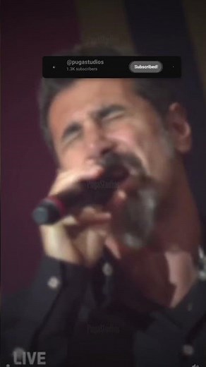 Serj Tankian CANTANDO Like a Stone de Audioslave en VIVO