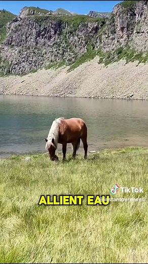 Randonnée des lacs d'Ayous : Aventure dans les Pyrénées