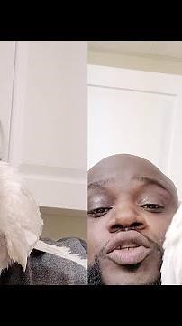 Cute Cockatoo Dance His Heart Out as Man Beatboxes || WooGlobe