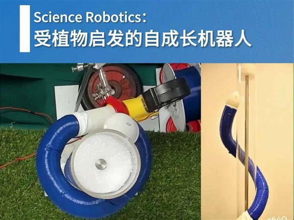 Science Robotics：受植物启发的自成长机器人