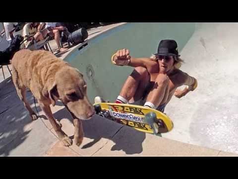 Impressions of Jay Adams - part 2