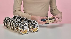 Cesar Chef Hundefutter, Köstlichkeiten der Saison, 150 g - 14 Dosen