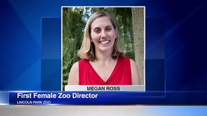 Lincoln Park Zoo names first female director