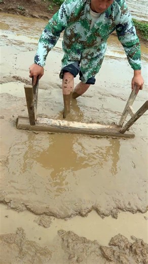 Using an Old Wooden Rake in the Rice Field: The Wisdom of Traditional Farming