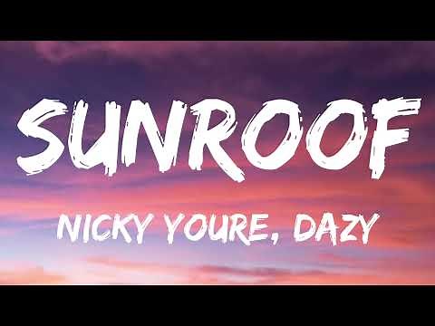 Nicky Youre, dazy - Sunroof (Lyrics)