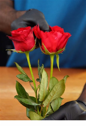 Delicious Rose Milkshake Recipe | ASMR Cooking