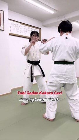 4種類の踵蹴りをマスターしよう