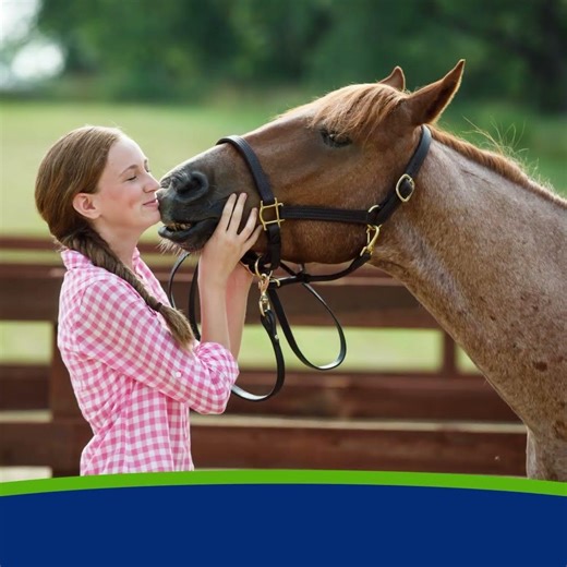 EquiSect Fly Repellent Fly Spray