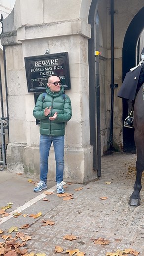 Visitor claps his hands to get the horse’s attention at Horse Guards, London. #fbreels #Applause | Around London