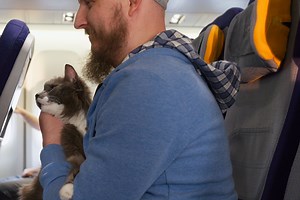 Growing travel with pets, including trips centered around them, boosts demand for pet travel insurance - WTOP News