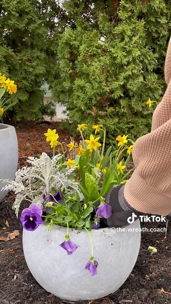 Spring cottage garden vibes 🌿🌷 #spring #garden #tulip #bunny