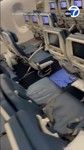 Delta flight forced to turn around because of diarrhea incident