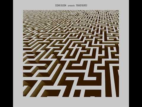 Cosmo Bloom - Elektrik Foundation \\ Alien Recording