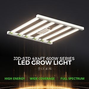 [Hot Item] Compact 600W Grow Lights for Urban Farming & Indoor Cultivation