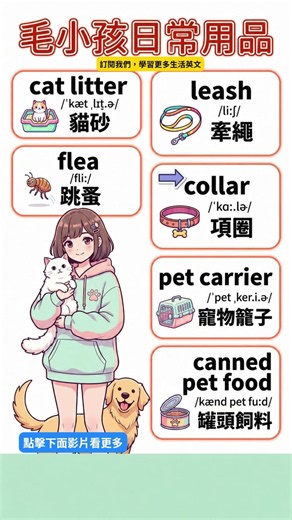 毛小孩日常用品英文單字 #學英文 #学英文 #learnenglish #英文單字 #vocabulary #生活英文 #實用英文