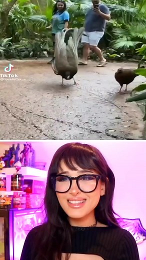 Try Not To Say Wow Challenge #sssniperwolf #sssniperclips #Wow #WowChallenge #satisfying